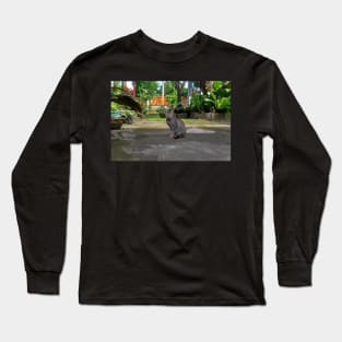 a domestic cat Long Sleeve T-Shirt